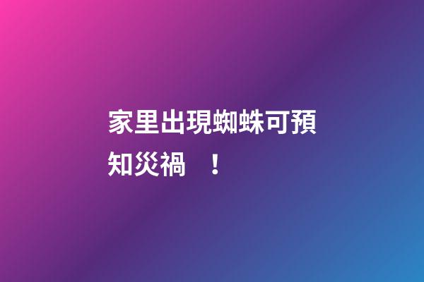 家里出現蜘蛛可預知災禍！